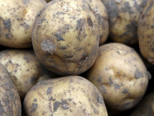 Scotland: Bid to tackle crisis in potato sector | Global Potato News | Scoop.it