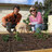 img_Square foot gardening