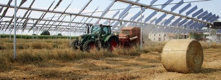 The Agrovoltaic system | efficient gardening | Scoop.it