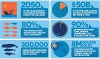 Let&rsquo;s Protect&nbsp;Oceans | Ocean News | Scoop.it