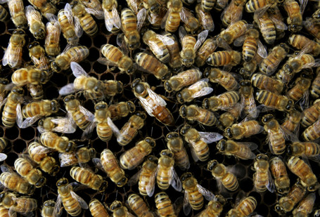 America Is One Bad Winter Away From A Food Disaster | The Politics of Food | Scoop.it