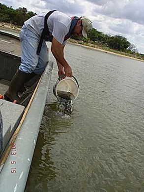 Club helps with fish habitat - Lake Country Sun | Fish Habitat | Scoop.it