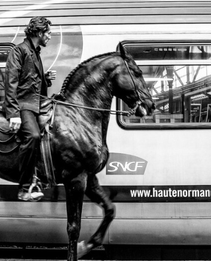 Un &eacute;talon noir &agrave; la gare de Paris Saint-Lazare | PegaseBuzz | Cheval | Scoop.it
