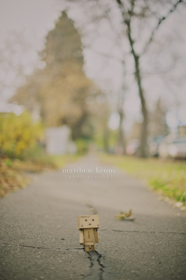 Danbo  on Danbo   I    Fresh Air     Matthew Keoni Photography   Best Of Danbo