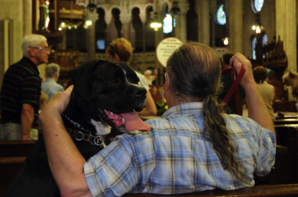 Des centaines de chiens b&eacute;nis &agrave; l'&eacute;glise Saint-Roch | Soci&eacute;t&eacute; | Ledogshop | Scoop.it