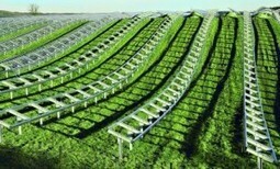 Voici l&rsquo;&egrave;re des grands parcs solaires sans subvention en Espagne | Salvetat Durable | Scoop.it
