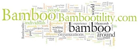 A little about Bambootility Media... | Black Belt Bamboost | Scoop.it