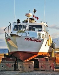 GEERG now has a Ship's Blog! #shark #ocean #scuba | Scuba Diving, Outdoor Activities & Adventures Canada | Scoop.it