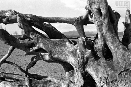 f/Egor: A Derelict Memory Lane | Sculpting in light | Scoop.it