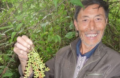 Chine : la conservation de la biodiversit&eacute; am&eacute;liore les conditions de vie | UNDP | Biodiversit&eacute; | Scoop.it