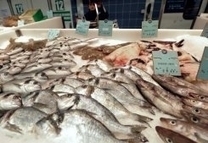 Le poisson qu'on mange n'est pas toujours celui qu'on croit avoir achet&eacute;, selon une ONG | Gastronomie et alimentation pour la sant&eacute; | Scoop.it