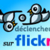 Photo num&eacute;rique
