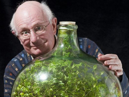 Enferm&eacute;e depuis 53 ans, une plante a cr&eacute;&eacute; son propre &eacute;cosyst&egrave;me pour survivre ! | Ce qui m'int&eacute;resse | Scoop.it