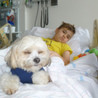 www.rangersuniverse.weebly.com bone-marrow-drive-for-kai-quinonez-raffle-tickets-still-available-for-ipad-super-smash-comizs-asks-help-for-kid.html