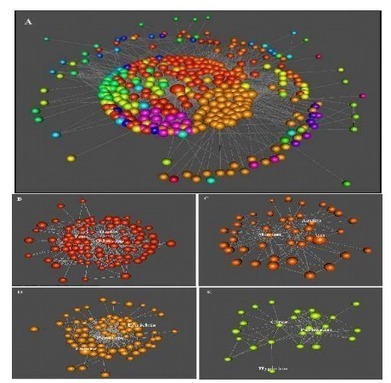 Social Network Analysis of The Iliad and The... | Social Network Analysis #sna | Scoop.it
