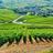 World Wine Web