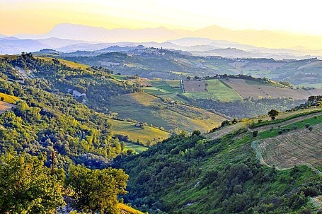 Visit Italy's Le Marche for olives, outlet shopping By Craig Seligman - Bloomberg News | Good Things From Italy - Le Cose Buone d'Italia | Scoop.it