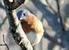 PETA wants to turn Va. prison into 'chicken empathy museum' | Empathy and Animals | Scoop.it