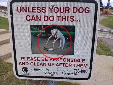 18 Funny Road Signs Worth Slowing Down For | Re
