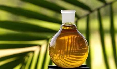 New Research: Palm Oil for Biofuels Accelerating Climate Change? | Local Economy in Action | Scoop.it