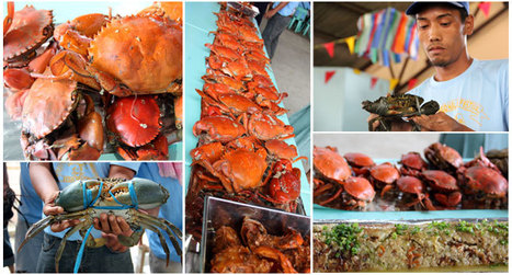 	Crab Festival 	