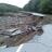 img_#vtirene