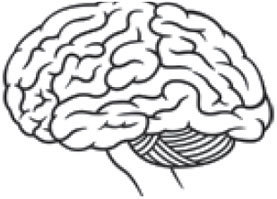 Why Is it Impossible to Stop Thinking, to Render the Mind a Complete Blank?: Scientific American | Beautiful organizations | Scoop.it