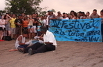 Seaturtle Conservation and Environmental Education | Sustainable Green chemistry | Scoop.it
