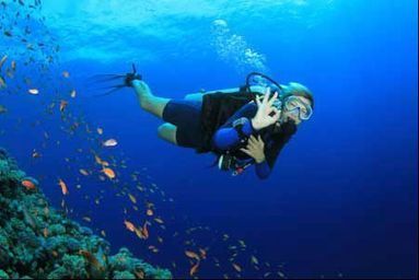10 underwater heavens for scuba diving - Belize Blue Hole is listed among the 10 | Things to do in Belize | Scoop.it