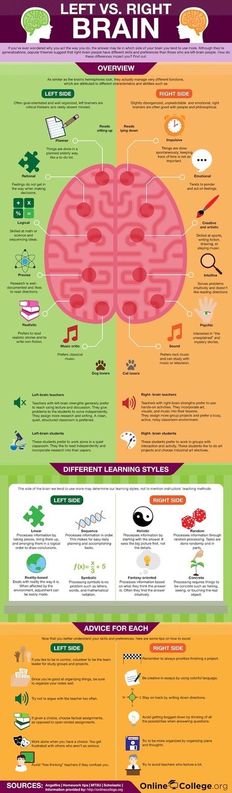 Votre style d&rsquo;apprentissage est-il plut&ocirc;t orient&eacute; cerveau droit ou cerveau gauche ? | FormaVox | Scoop.it