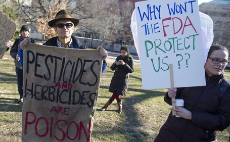 Genetic Changes to Food May Get Uniform Labeling in USA - Owned and Dictated by the GMO Giants | YOUR FOOD, YOUR HEALTH: Latest on BiotechFood, GMOs, Pesticides, Chemicals, CAFOs, Industrial Food | Scoop.it