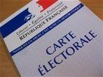 Vote &eacute;lectronique : le Conseil constitutionnel valide une &eacute;lection l&eacute;gislative | Fran&ccedil;ais &agrave; l'&eacute;tranger : des &eacute;lus, un minist&egrave;re | Scoop.it