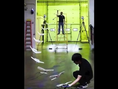 Robotic falconry: winged unit lands on you | Science News | Scoop.it