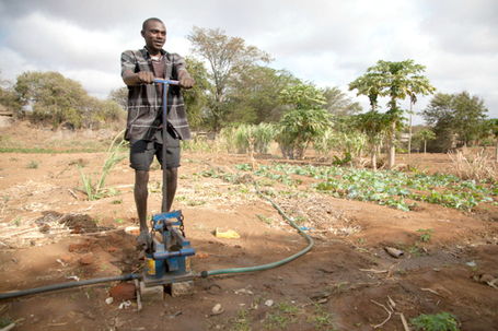 Solar pumps could boost farm yields in poor countries | Food issues | Scoop.it