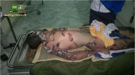 F-Se! Landscapes Of Libya Freedom Or a Short List of Libyan Rebels HUMAN RIGHTS Praxis. | Seif al Islam al Gaddafi | Scoop.it