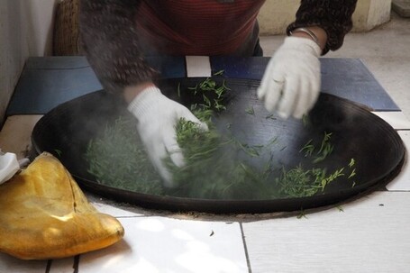 Le Bi Luo Chun se manufacture avec dext&eacute;rit&eacute; &laquo; Chercheur de Th&eacute; | La cuisine du th&eacute;, la boisson du th&eacute; | Scoop.it