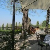Restaurant Le Saint James, Bouliac (Gironde) &raquo; | Vins & gourmandises | Scoop.it