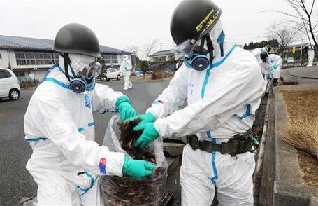 Into Fukushima's no-man's land | Sale temps pour la plan&egrave;te | Scoop.it