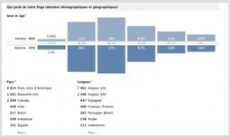 Comment Optimiser Votre Page Facebook Avec Facebook Insights ? | Webmarketing webdesign et community management | Scoop.it