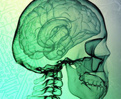 Systems That Perceive, Think, and Act | DigitAG& journal | Scoop.it