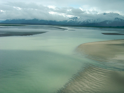 FDA ruling on GMO salmon worries Alaska fishermen | Food issues | Scoop.it