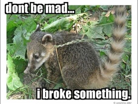 :: How To Use Memes to Promote Your Business :: | Information Economy | Scoop.it
