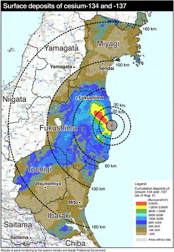 Effect of contaminated soil on food chain sparks fears | The Japan Times Online | Mapping & participating: Fukushima radiation maps | Scoop.it