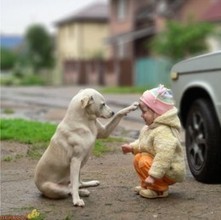How to Develop Empathy in Children through Human-Animal Relationship | Empathy and Animals | Scoop.it