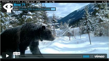 Advice for Creating a Transmedia Documentary | El Taller del Aprendiz | Scoop.it