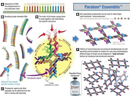 Automated drug design using synthetic DNA self-assembly | KurzweilAI | Longevity science | Scoop.it