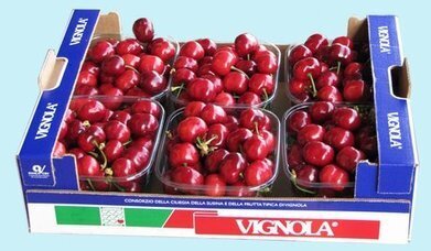 Ciliegie di Vignola: attesa ottima qualita' malgrado una produzione in ritardo e minori volumi | mysnack: il mondo della frutta secca | Scoop.it