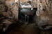 KFC smugglers bring buckets of chicken through Gaza tunnels | Quite Interesting News | Scoop.it