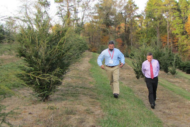 Listening, Learning, Leading | CALS News Center | News from the College of Agriculture and Life Sciences, NCSU | Research from the NC Agricultural Research Service | Scoop.it