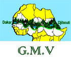 Initiative Africaine : la Grande Muraille Verte - Great Green Wall | Agroforesterie | Scoop.it